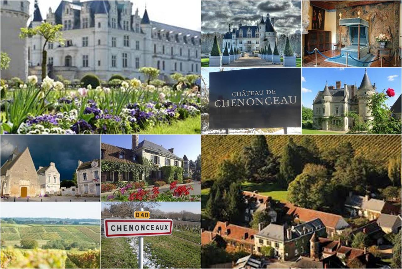 Le Roi Coq Bed and Breakfast Chenonceaux Buitenkant foto