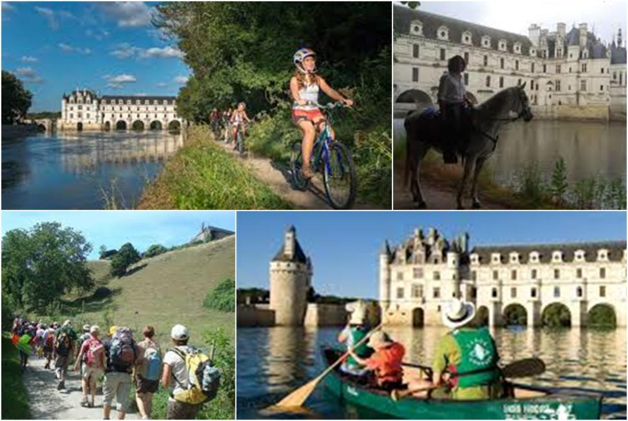 Le Roi Coq Bed and Breakfast Chenonceaux Buitenkant foto