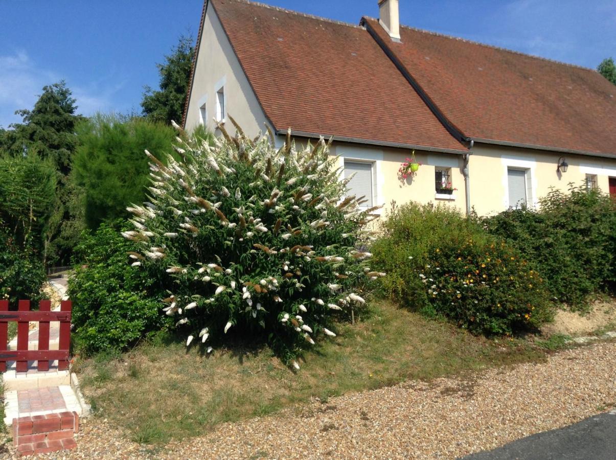 Le Roi Coq Bed and Breakfast Chenonceaux Buitenkant foto